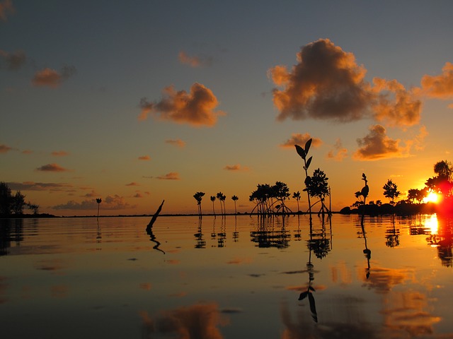 mauritius